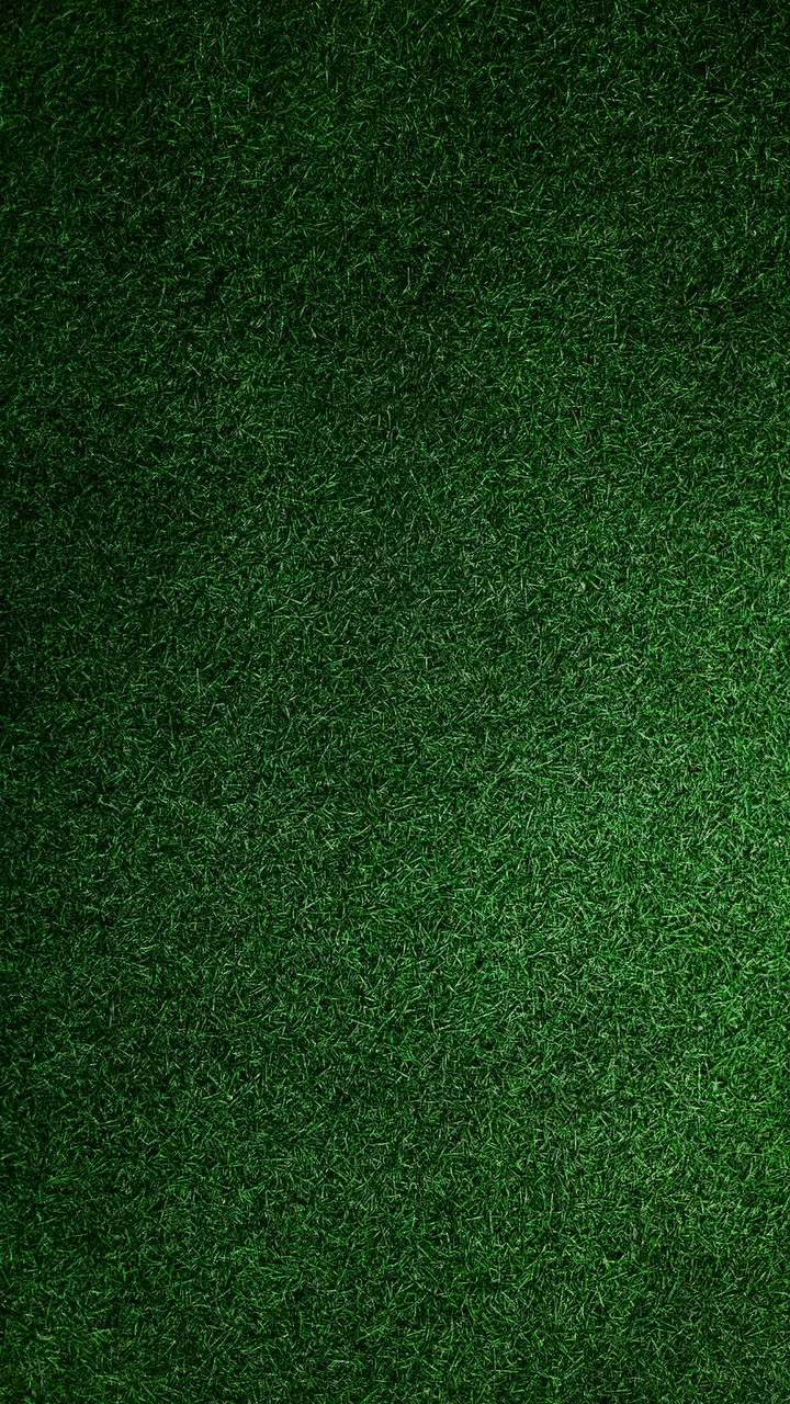 Polycab: ICC World Cup, one month to go